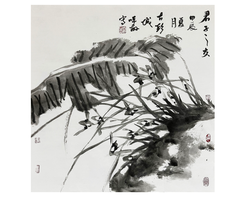 QQ图片20240619145754.png